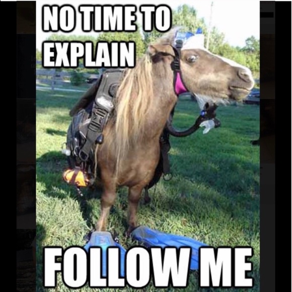 kate spade Jewelry - Follow Game follow me share like follow likers